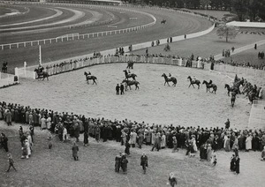 Spectators watching as horse parade in the saddling paddock, Trentham