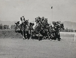 Horses jumping in Grand Steeplechase, Riccarton