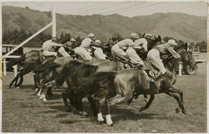 Line of horses starting a race