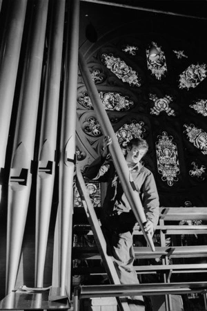 Neil Stocker removing a pipe from the organ at St Mary of the Angels, Wellington