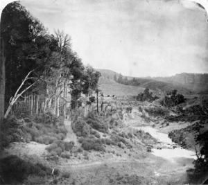 Tauweru River, Wairarapa