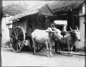 Roofed cart - Madras Bullock