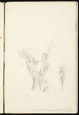Haylock, Arthur Lagden, 1860-1948 :Old willow stump near Maitai Bridge, Nelson. 1.1922