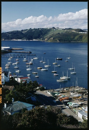 Evans Bay Marina, Wellington