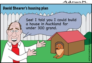 Shearer builds Auckland house for sub 300K