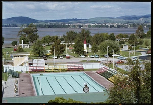 Swimming pool, Tauranga