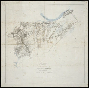 [Creator unknown] :Plan of a run situated in Hawkes Bay the property of Donald McLean ESQre [ms map]. [ca.1870?]