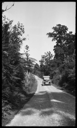 Car on an unidentified road, Punakaiki