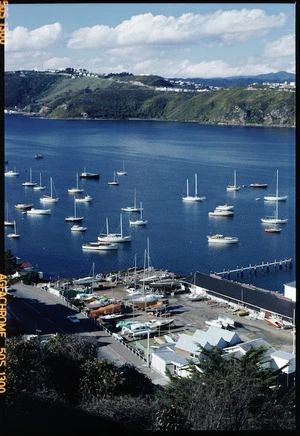 Evans Bay Marina, Wellington