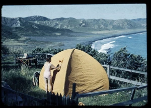 People pitching a tent, Wairarapa