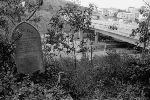 View of motorway under construction from Bolton Street Cemetery, Wellington