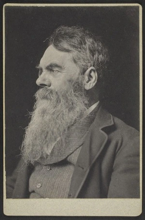 Hollyer, Frederick Henry, 1837-1933 (Photographer): Portrait of Richard Holt Hutton, Editor of Spectator, Twickenham