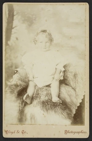 Lloyd & Co (Geraldine) fl 1860s-1880s :Portrait of unidentified child