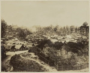 Overlooking Parihaka Pa