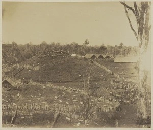 Fort Rolleston, Parihaka