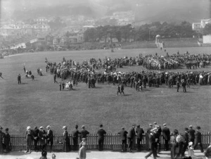 A crowd of people on the Basin Reserve, Wellington, and houses beyond