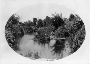 Government Gardens, Rotorua