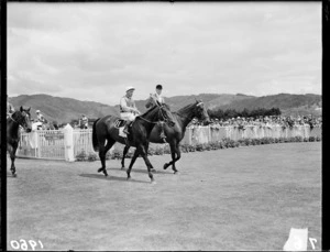 Beaumaris, winning horse in Wellington Cup, Trentham Racecourse