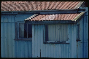 Corrugated iron bach at Okarito