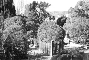 View of the Sydney Street Cemetery