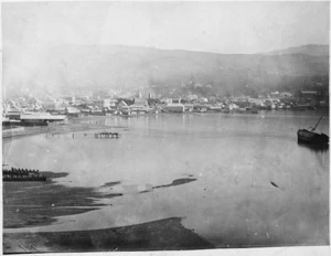 Wellington Harbour, and Te Aro