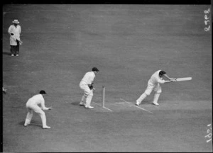 Cricket at the Basin Reserve