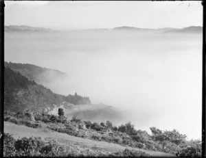 Mist over Wellington