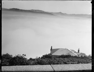 Mist over Wellington