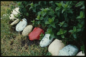 Painted stones in grounds of bach at Ocean Beach, Wairarapa