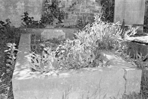 The Gibbs family grave, plot 55.N, Sydney Street Cemetery.
