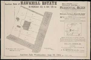 Auction sale of Hawkhill Estate ... Wellington Terrace & Mount St. corner / Seaton & Sladden, surveyors.