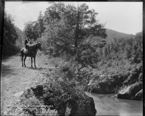 Unidentified horsewoman at Newton Point, above Buller River, West Coast