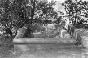 The grave of Hannah Willeston, plot 5.A Sydney Street Cemetery.