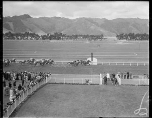 Race finish at the Trentham races