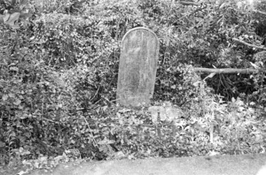 Buckeridge, Evans, Osgood and Scrimgeour family grave, plot 5104, Bolton Street Cemetery