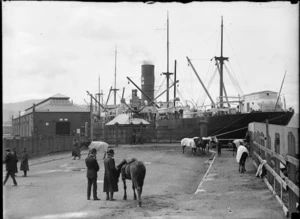 Wellington wharf during the 1913 waterfront strike