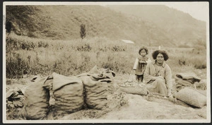 Creator unknown : Photograph of a Maori woman, and child, in a potato field at Mataatua, Whakatane district