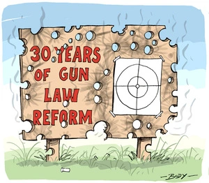 30 years of gun law reform