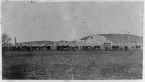Fence of Whakairo Pa, horses, and Chief Tareha's house, at Waiohiki, Hawke's Bay Region