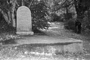 The grave of the Miller and Mitchell family, plots 126.O and 127.O, Sydney Street Cemetery.