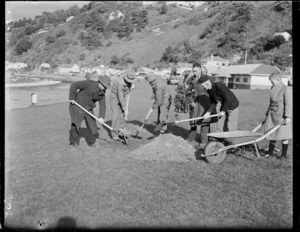 Pohutukawa being planted at Worser Bay