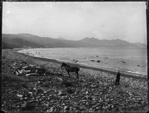 Beach scene with horse and boy, Waipiro Bay, East Coast, Gisborne region