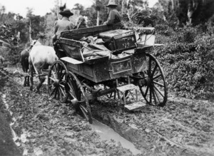 Horse drawn wagon on a muddy road, at Frederick Truby King's farm in Tahakopa