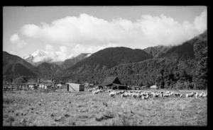 Back country sheep station seen from Docherty Creek, Westland