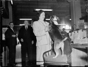 Dog which visited the Union Steamship Company