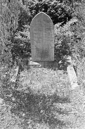Grave of Eliza Baker, John Stevenson, Julia Peterson and the Clark family, plot 15.D, Sydney Street Cemetery.