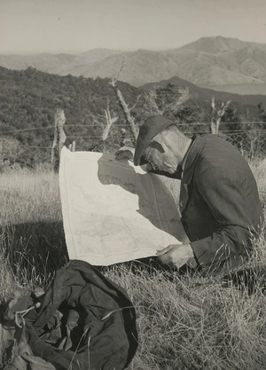 Tourist reading a map, Marlborough Sounds