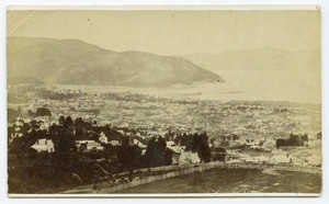 Allen, J W : Dunedin 1874