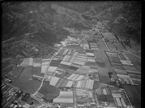 Aerial view of market gardens at Taita, Wellington