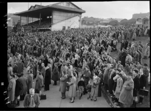 Crowd scene at Basin Reserve